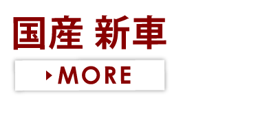 国産 新車